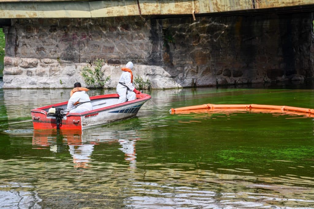 Cianobacterias y plantas verdes en el San Roque: sobre el saneamiento del lago y su plan de mitigación